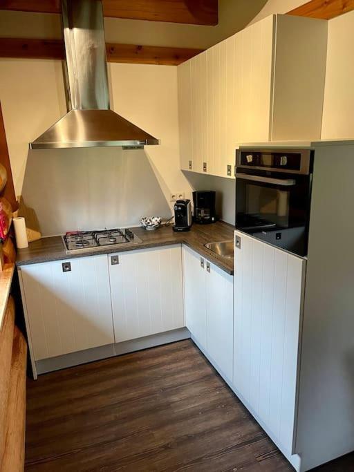 Unieke Houten Villa Met Sauna In Twente - 6P Den Ham 外观 照片