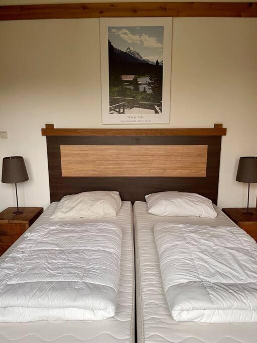 Unieke Houten Villa Met Sauna In Twente - 6P Den Ham 外观 照片
